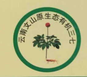 云南文山原生态有机三七