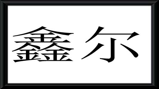 鑫尔商贸有限公司9