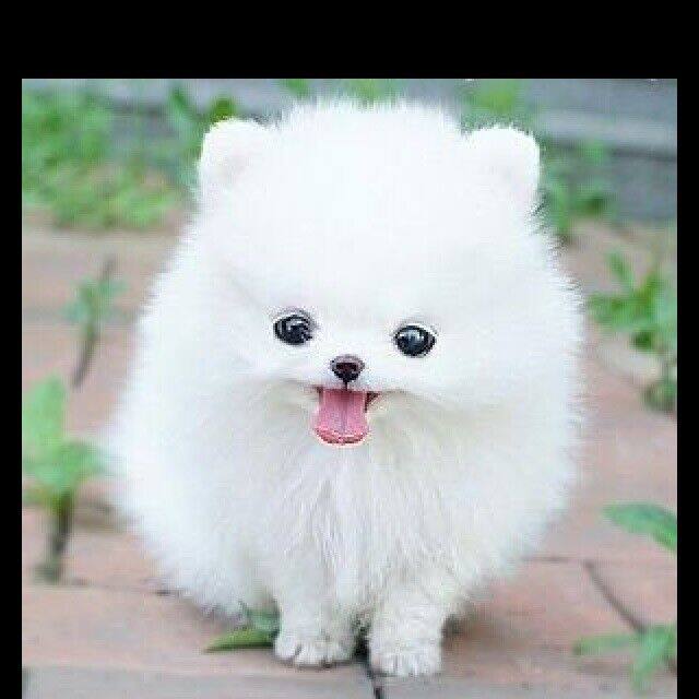 人生风景很乐乐