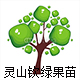 灵山县钦绿果苗