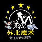 吴迪1号
