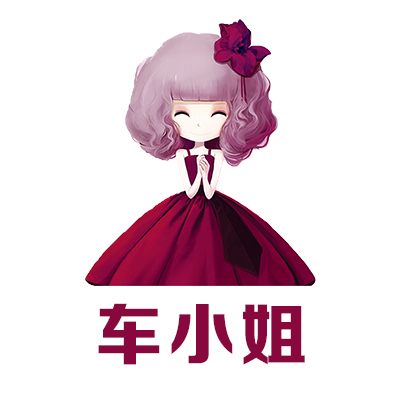 车小姐车饰企业店