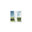 a971434981