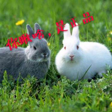 斯德哥尔摩没病