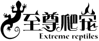 贾仕贤