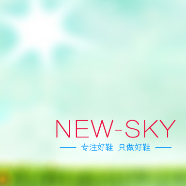new_sky2013