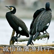诚信卖郎