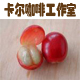 物语清新工坊