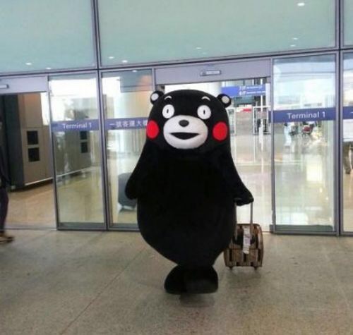 魏子政