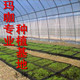 赤脚大仙养生馆