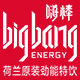 bigbang食品旗舰店