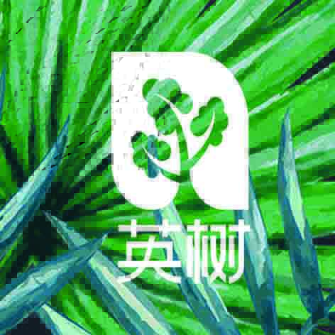 美丽缘分