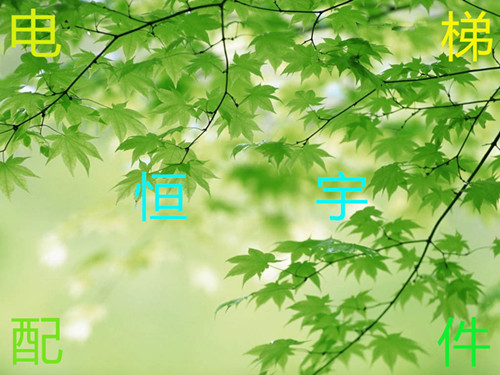美丽说时尚韩版女装