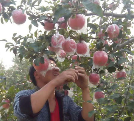 回眸一笑滑
