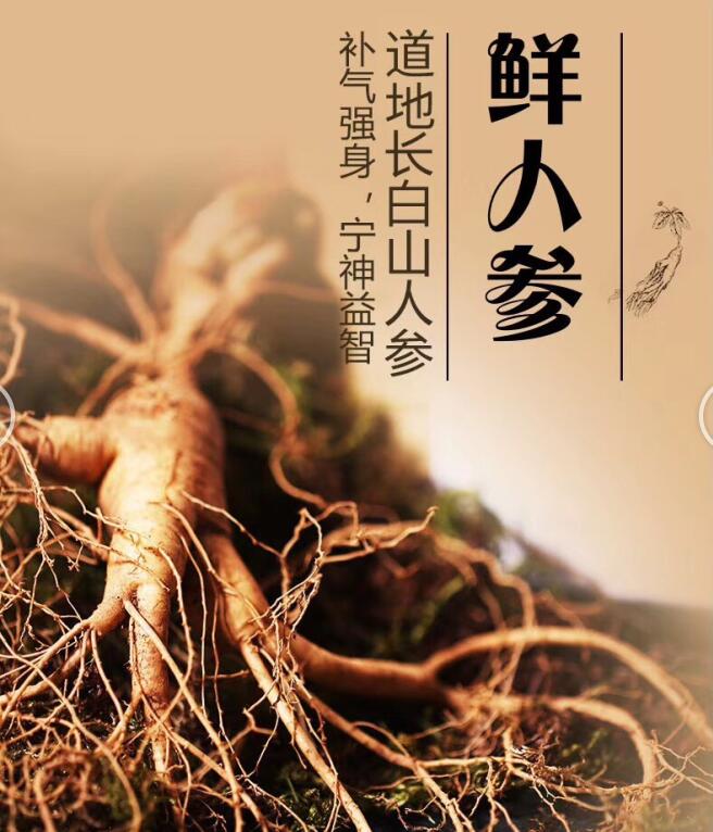 枫灵的家