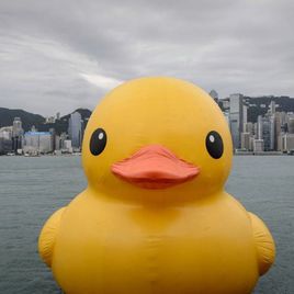 爱爱宝贝201314