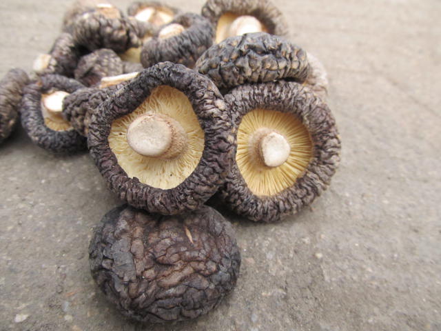 dangzhigang198