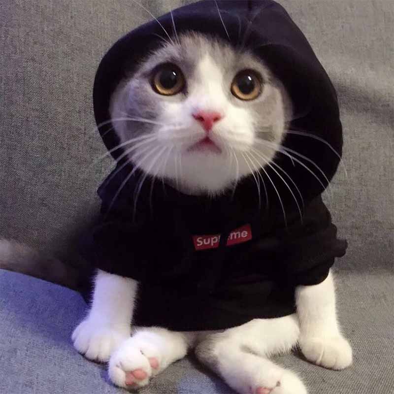 洗不掉evisu
