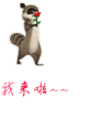 米朗尼