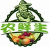 郑如前66