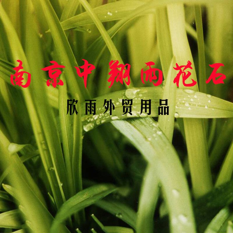 春天的阳光7503340