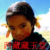 今宵梦佳人