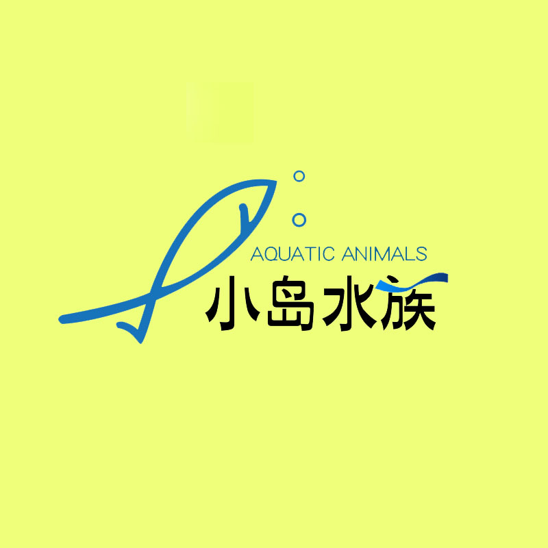 绯闻女孩1027