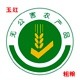 李玉红996