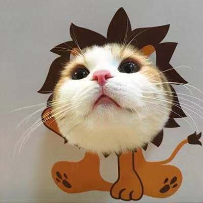 hh姐是帅比