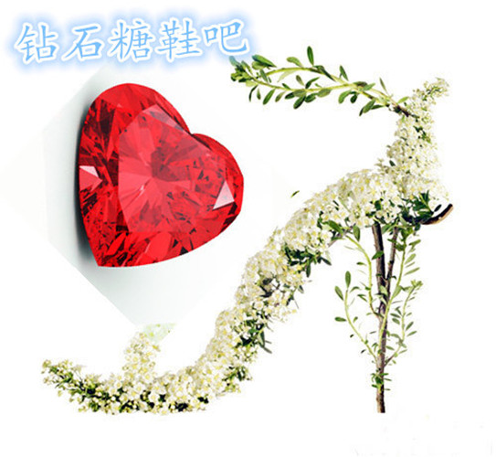 2010懒虫一条
