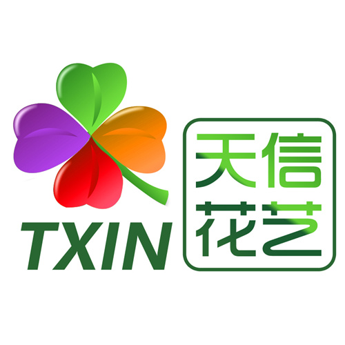 天信花艺