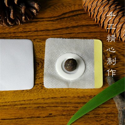 佳缘生态茶园