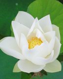英豪通讯2008