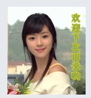 6熏衣草