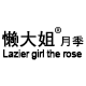 懒大姐旗舰店