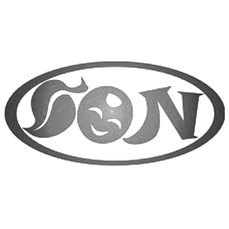 son旗舰店