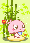 竹韵伊伊