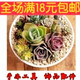 dwl丽