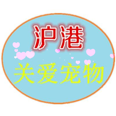 沪港国际
