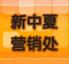新中夏