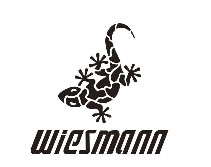 wiesmann旗舰店