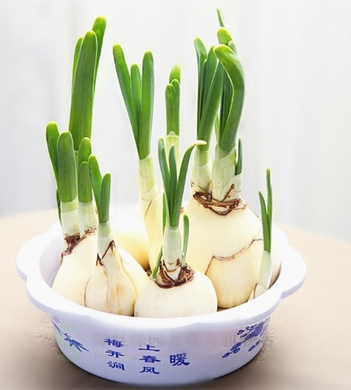 辉辉百货企业店