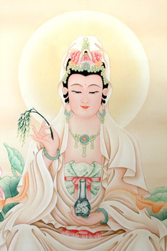 18266910660回眸