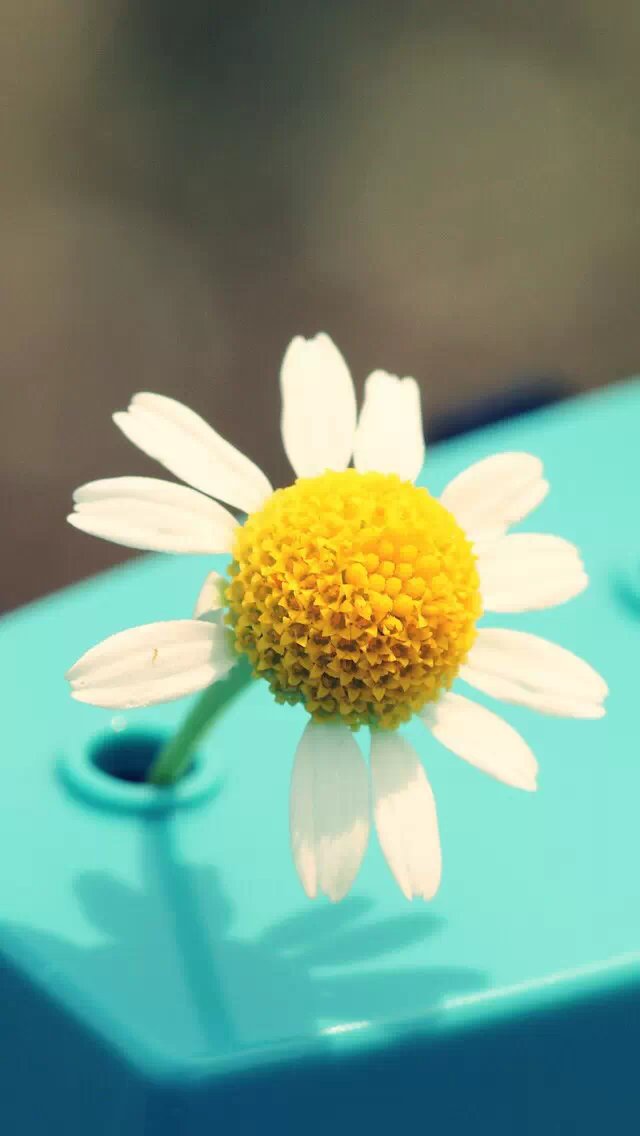 盘锦小慧