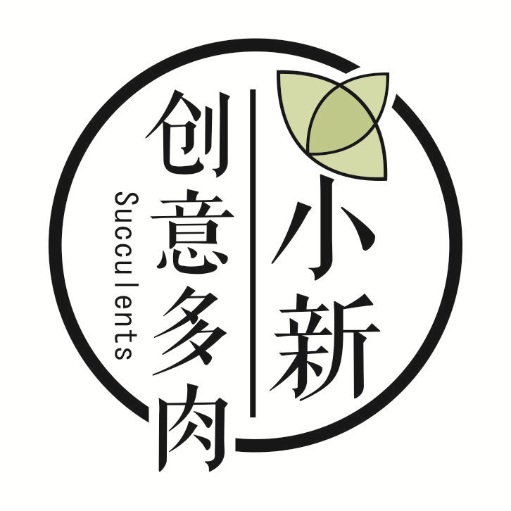 新新云里1990