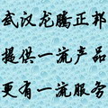 武汉正邦