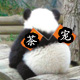苏晓宝2011