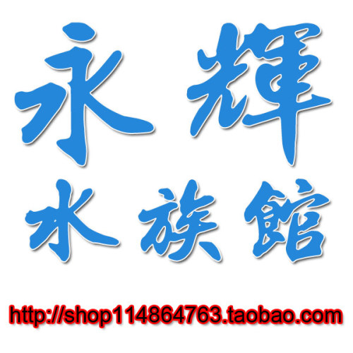 全球配送