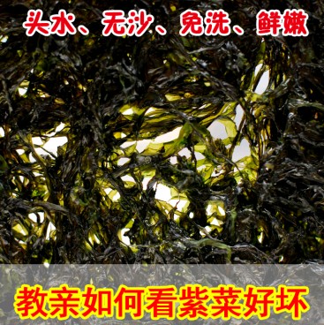 gao81072821