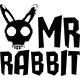 兔子先生j